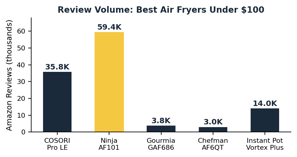 best air fryer under $100 review volume comparison